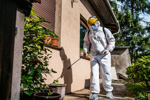 Best Pest Control for Homes  in Munhall, PA
